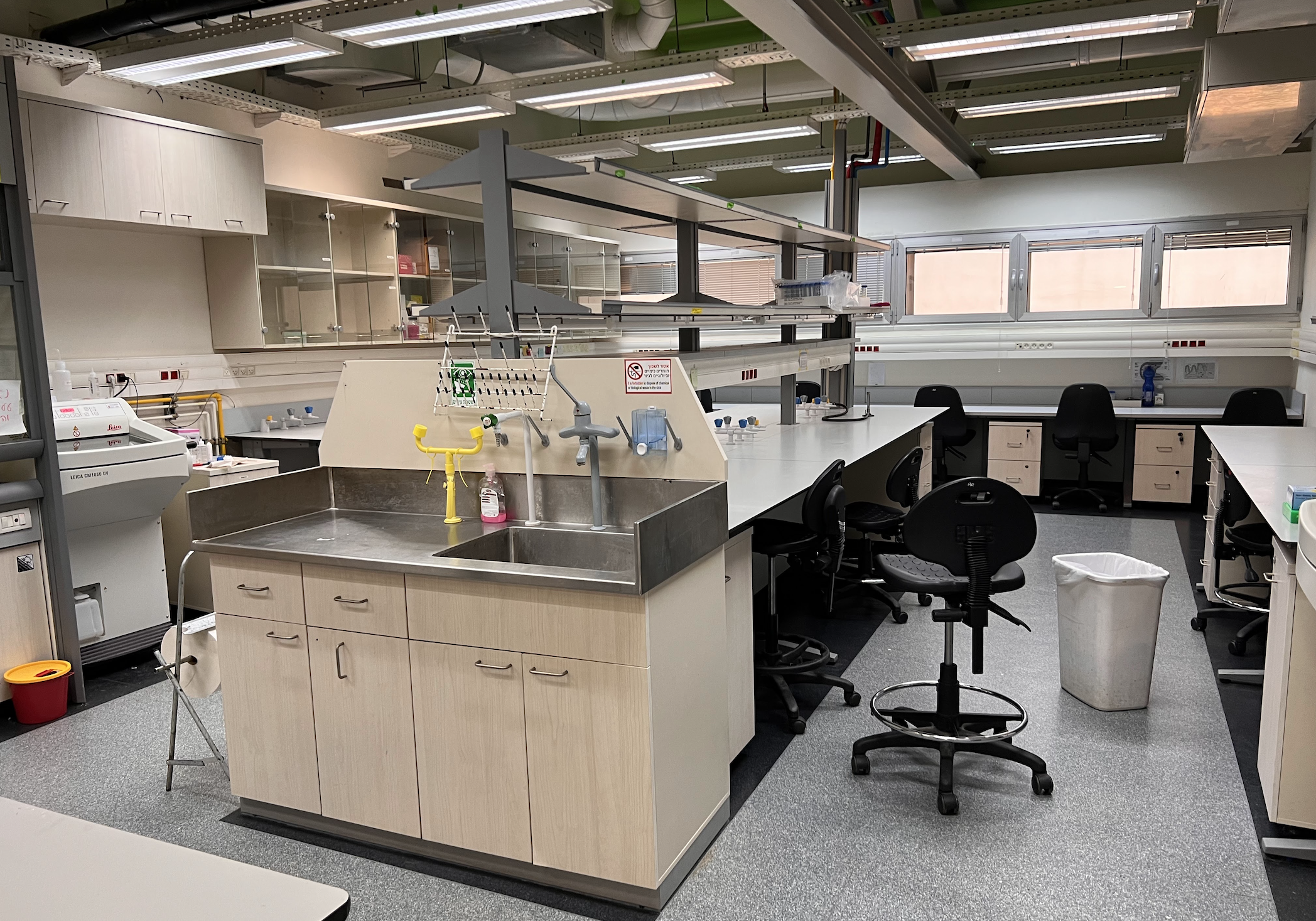our lab