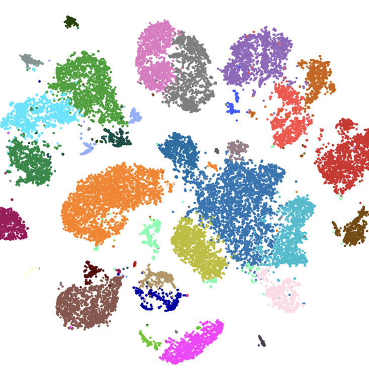 Single cell sequencing